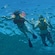 Looking up at a girl and boy outfitted in snorkel gear and holding hands as they swim at the water's surface